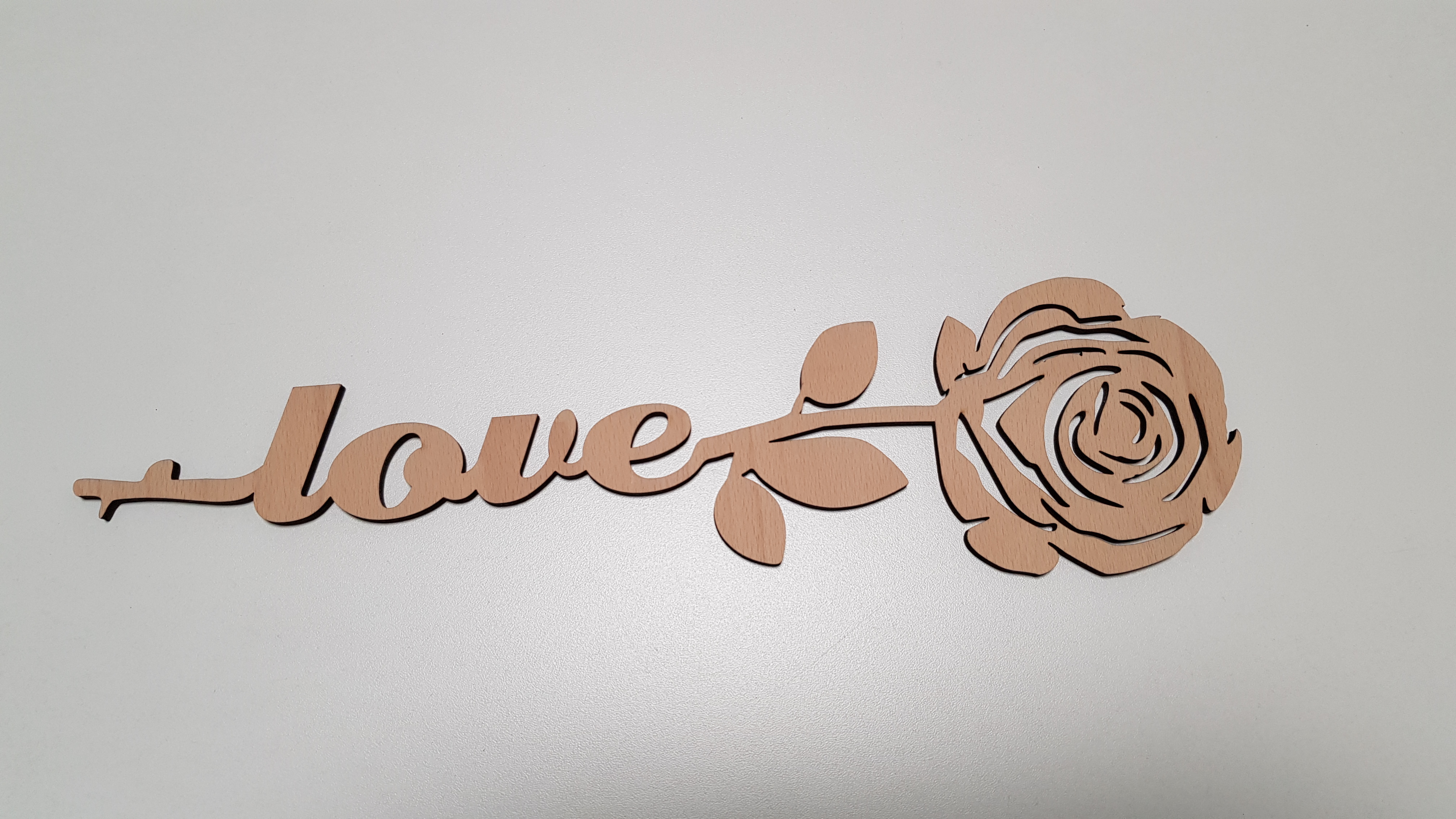 Rose Bild 1