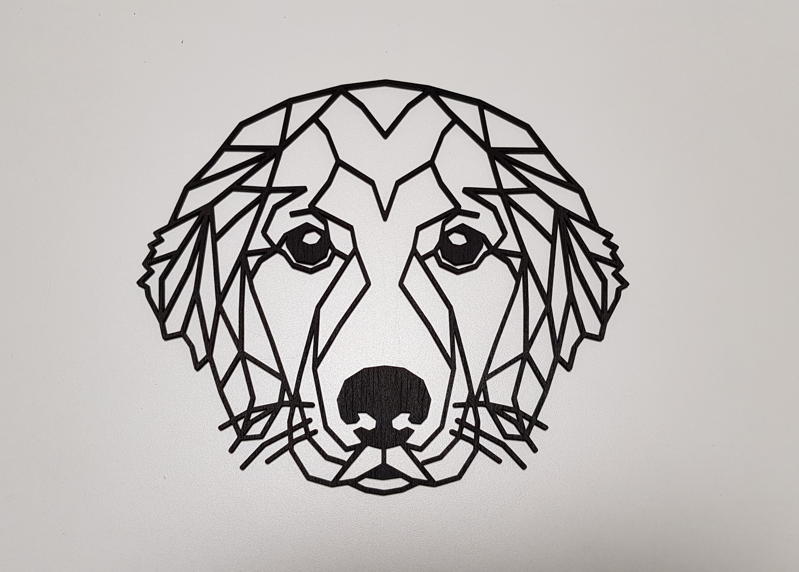 Golden Retriever schwarz